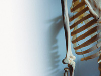 014working_with_spine
