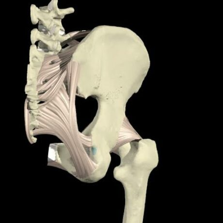 Sciatica & Disc Issues Pt I and Pelvis, Hip & Sacrum Pts I and II