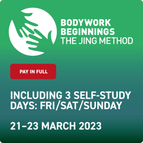 Bodywork Beginnings - March 2023 - Upfront