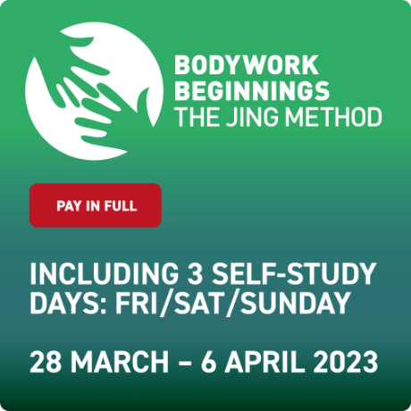 Bodywork Beginnings WALES - Upfront - March 2023