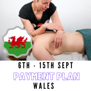 Bodywork Beginnings WALES - 6th-15th Sep 2022 (payment plan)