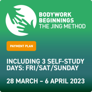 Bodywork Beginnings WALES - March 2023 (payment plan)