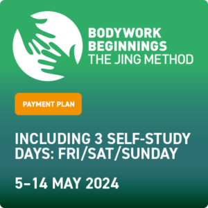 Bodywork Beginnings - November 2024 - Payment Plan